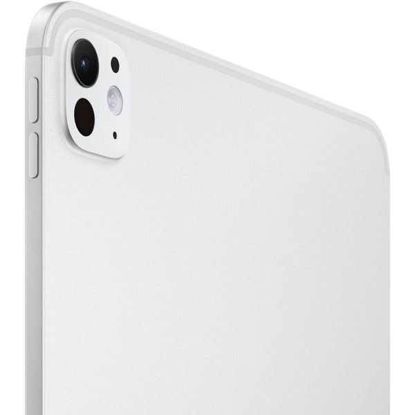 Apple iPad Pro 11 M4 256 ГБ Silver
