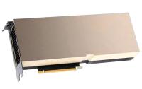 Видеокарта (GPU‑ускоритель) NVIDIA Tesla A100 (900-21001-0020-100), 80GB