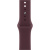 Apple Watch Series 12 (42 mm) - Titanium "Radiant Gold" + Sport Band "Burgundy" Apple Watch Series 12 (42 mm) - Titanium "Radiant Gold" + Sport Band "Burgundy"