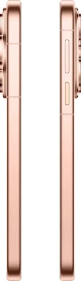Huawei Pura 80 12/256 Gold