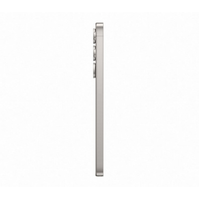 Samsung Galaxy S25 Ultra 12/256 Titanium Gray