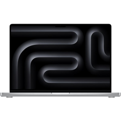 MacBook Pro 14 M4 16/1Tb Silver (MW2X3)