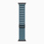 Apple Watch Ultra 3 49mm Black Titanium Case, Alpine Loop (Light Blue)