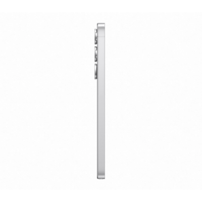 Samsung Galaxy S25 Ultra 12/1Tb Titanium Silverblue